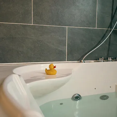 Appartement Spa Vip Du Pont Alsort 2-3 *