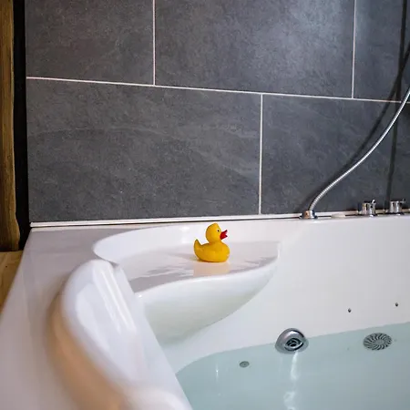 Appartement Spa Vip Du Pont Alsort 2-3 *