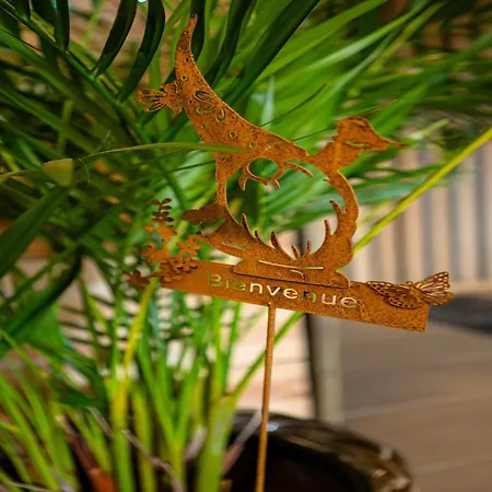 Vip Du Pont Alsort 2-3 Froid-Chapelle